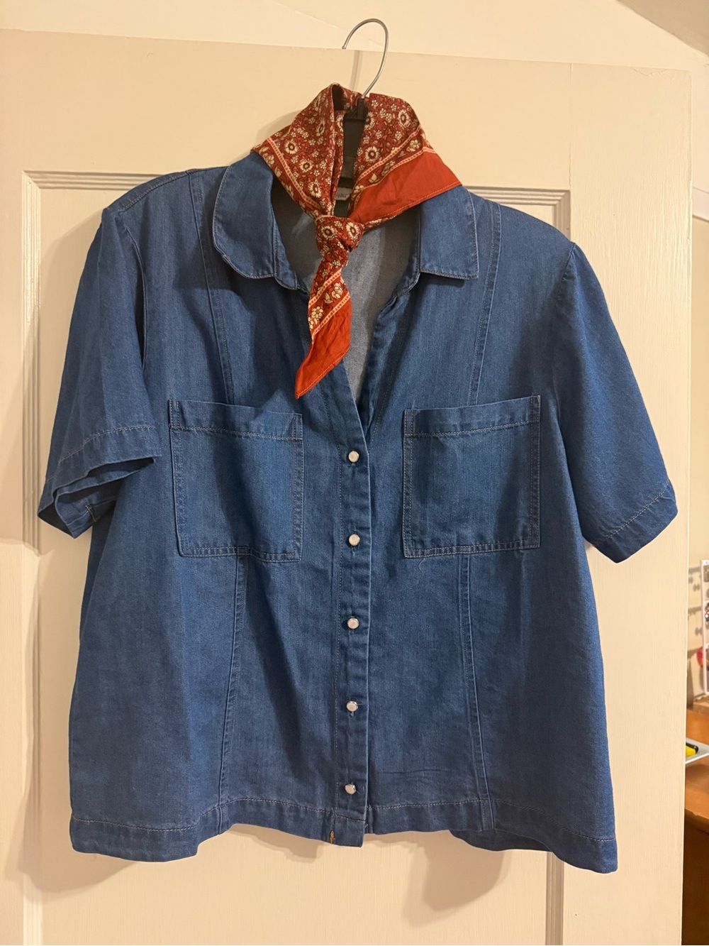 Short-Sleeve Denim Shirt
